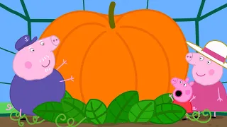 A abóbora gigante | Peppa Pig Português Brasil Episódios Completos