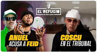 Anuel acusa a Feid de Demanda / Cosculluela llega a los tribunales Y NO SABE PARA QUE / Sylvia