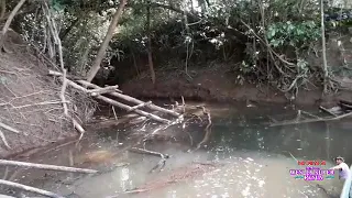 olha o que encontramos no rio São Domingos dando uma volta.