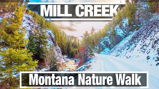 Montana Winter Nature Walk - Virtual Walking Trail along Mill Creek with Treadmill Walking Scenry 4k