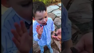 Cute Babies Explore The World - Baby Outdoor Video