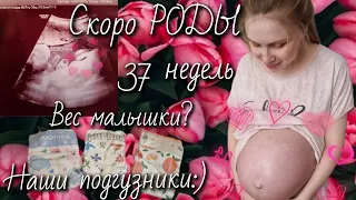 ВЛОГ: Скоро РОДЫ🤰🏼Когда госпитализация?🪻Консультация в РОДДОМЕ 29, г. Москвы.⚘️