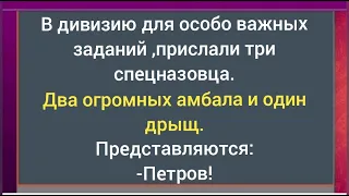 Анекдоты.Спецназовец-дрыщ.