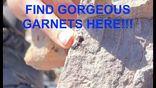 Rockhounding at Garnet Hill- FAMOUS NEVADA ROCKHOUNDING SITE WITH GORGEOUS GARNETS!!!