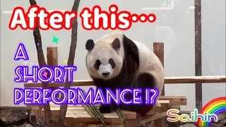 🌈Saihin🐼Relaxed and relaxing mode... Unbelievable one-shot performance😆Adventure world🐼Panda🌿