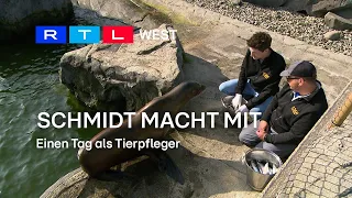 Schmidt macht mit: Einen Tag als Tierpfleger | RTL WEST