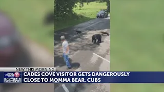 Caught on camera: man gets dangerously close to bear, cubs in Cades Cove