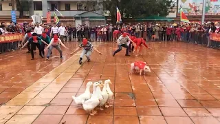 Vietnamese Folk Games: Funny Catch Pigs and Ducks Blindfolded