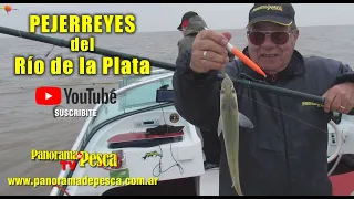 Pejerreyes en el rio de la plata agosto 2021. Panorama de Pesca