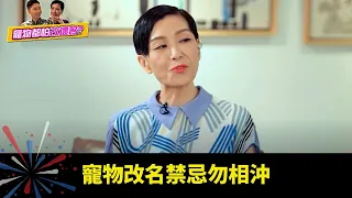 寵物改名禁忌勿相沖 不同寵物反映主人性格 悲智願行四大菩薩各有寵物? - 有玄就有機 伍詠薇 李丞責 ep08 在線重溫