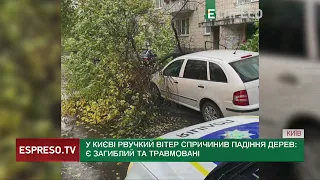 Потужний буревій наробив лиха у Києві