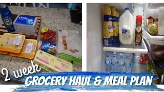 2 WEEK GROCERY HAUL & MEAL PLAN | MANDY IN THE MAKING