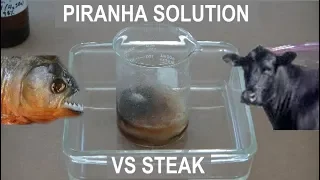 Piranha Solution vs Steak - ElementalMaker