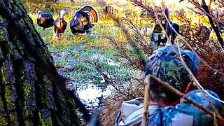 NEBRASKA TURKEY HUNT-ARCHERY OPENER! (2020)