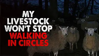"My Livestock Won't Stop Walking in Circles" Creepypasta