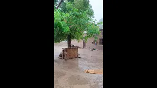 Heavy Rain In Punjab Village #Nature #Rain #Punjab #Pakistan