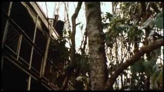 Fitzcarraldo (1982) Trailer