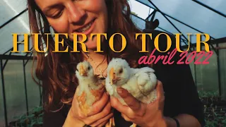 El Huerto en Abril 2022 - Tengo POLLITOS en el Invernadero! - Huerto Tour