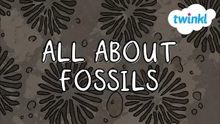 What are Fossils? for Kids | Twinkl USA