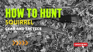 How To Squirrel Hunt. Gear and Tactics.