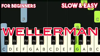 NATHAN EVANS - WELLERMAN | SLOW & EASY PIANO TUTORIAL