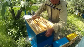 How to Build Effective Ukrainian Beehive of Vasyl Priyatelenko?