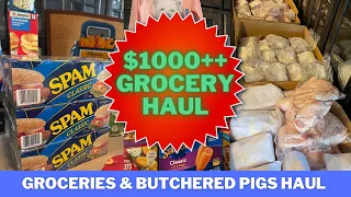 3 Potbelly Pigs Butchered | $1000 plus Monthly Grocery Haul | Sam’s Club Shop with Me | Farm Pork
