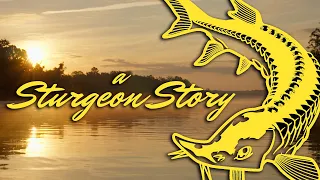 A Sturgeon Story: Searching For Giant Leaping Dinosaur Fish