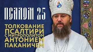 Толкование Псалтири. Псалом 25.