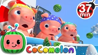 Three Little Pigs (Pirate Version) + More Nursery Rhymes - CoComelon