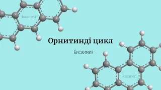 Орнитинді цикл І Несепнәрдің (мочевина) түзілуі І Биохимия