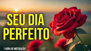 1 HORA DE MOTIVAÇÃO COM AFIRMAÇÕES E DECRETOS PARA TER UM DIA PERFEITO