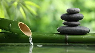 Relaxing Bamboo Water Fountain 🎍💦 [with background music] (3 hours)