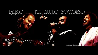 Banco del Mutuo Soccorso - Il Ragno - Live Fidenza 2003.