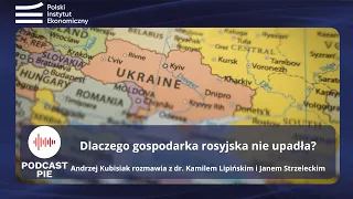 Dlaczego gospodarka rosyjska nie upadła?