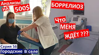 Серия 56 / Нашла больницу и врача! / 8 пробирок крови... / Почему так дорого? / Вас кусал Клещ?