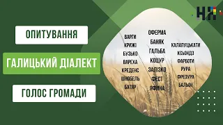 Опитування Галицький Діалект