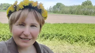 Просили-показую свою полуницю,яку продавала....Буся та справи городні.