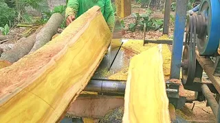 kuning yang cemerlang galih kayu nangka sangat bagus buat kontruksi rumah untuk bahan kusen furnitur