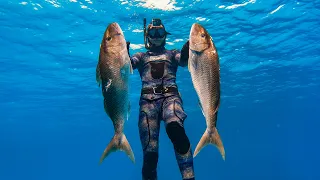 Spearfishing Australia 2021 - The Great Barrier Reef