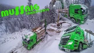 Transporte Mussnig | Holztransport auf den Bergen Oberkärntens | DAF Trucks