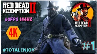 RDR 2 PC - RTX 3080 4K Ultra Max Gameplay | Graphics Showcase [No HUD] #totalenjoy #4k #rdr2