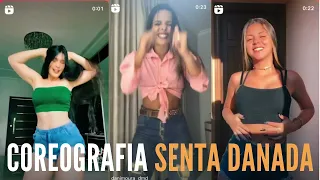 Tik Toks da Semana Coreografia Senta Danada - Zé Felipe