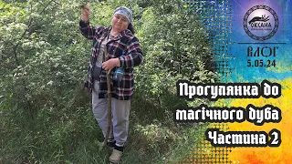 Прогулянка до магічного дуба. Частина 2