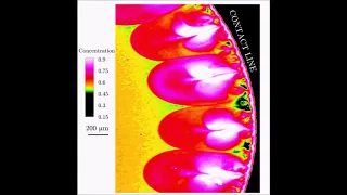 Inverse cascade of the vortical structures near the contact line of evaporating sessile droplets