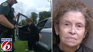 Woman arrested following Flagler hit-and-run where victim clung to hood of moving car
