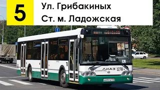 Автобус 5 "Ул. Грибакиных - ст. м. "Ладожская" (смена перевозчика)