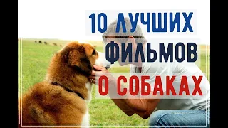 10 лучших фильмов о собаках (перевалив)