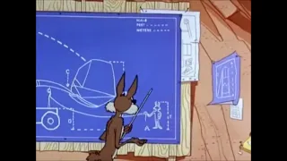 Looney Tunes- Wile E. Coyote Catapult trouble