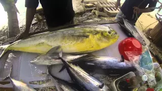 Rarotonga - Captain Moko Fishing Charter & Mooring Fish Cafe 2015